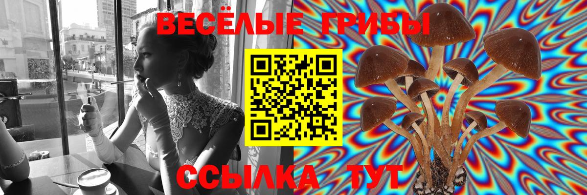 Псилоцибиновые грибы мицелий  Вход с VPN  Мыски 