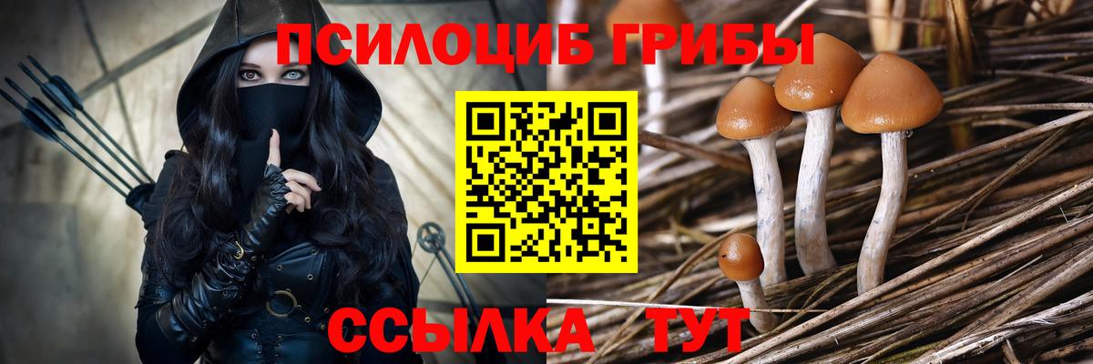 Галлюциногенные грибы прущие грибы Мыски